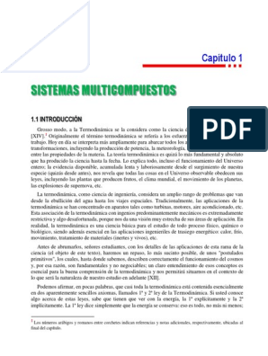 Xxxvione - 1-Sistemas Multicompuestos PDF | PDF | TermodinÃ¡mica | Importar