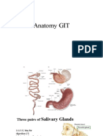 Anatomy GIT