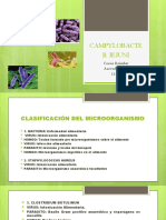 Diapositivas Campylobacter Jejuni Roimber Cossio Acevedo Kevin Curso 1101