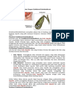 Asuhan Keperawatan Pasien Dengan Kolelitiasis