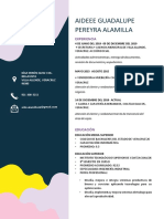 C.V. AIDEEE GUADALUPE PEREYRA ALAMILLA.pdf