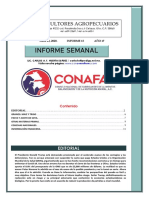 Informe 2015 Conafab PDF