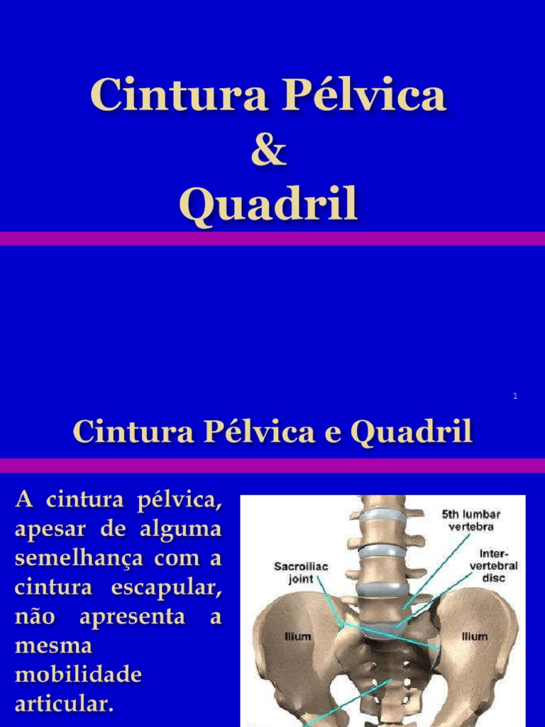 Cintura Pélvica e Quadril