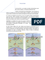 TOFACITINIB