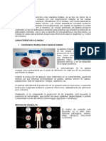 MIELOMA MULTIPLE. Resumen