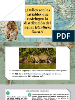 Biogeografía (Jaguar)