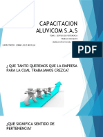 Capacitacion Aluvicom S