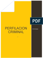 Perfilación Criminal