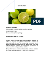 LIMON PAJARITO.docx