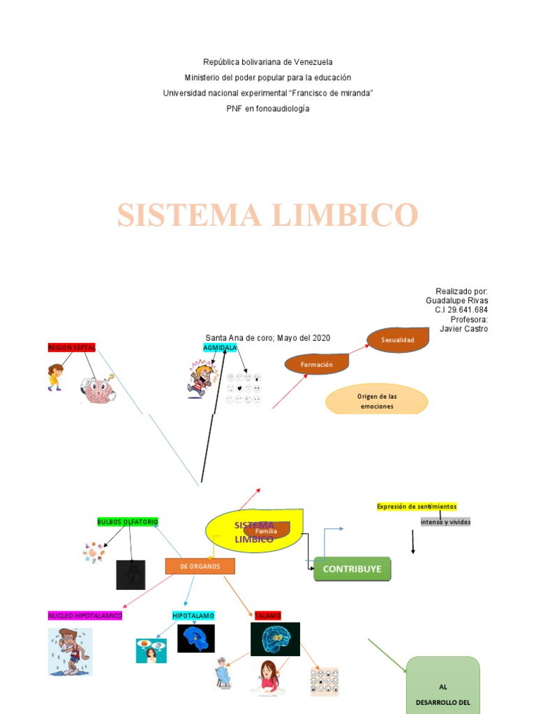 Mapa Mental Sistema Limbico | PDF, image size:768x1024