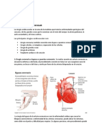 Cirugias Cardiovascular y Torax