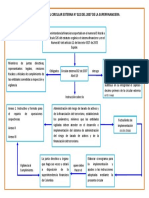 Mapa Conceptual Circular Externa N