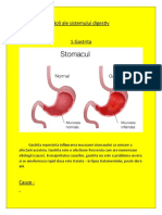 Boli Ale Sistemului Digestiv