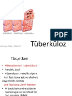 PTL03 Tüberküloz