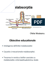 7.curs sindrom malabsorbtie_romana