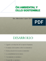 Gestion Ambiental y DS PDF