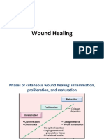 Wound Healing