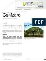 Cenízaro (Samanea Saman (Jacq) Merril.) PDF