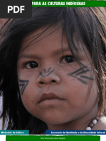 Culturas Indígenas