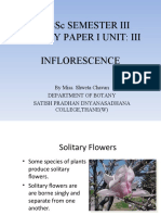 S.Y.Bsc Semester Iii Botany Paper I Unit: Iii Inflorescence