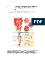 INfeksionet e traktit urinar 6.pdf