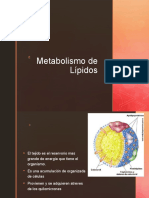 Metabolismo de Lípidos.pptx