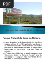 Reserva Natural da Serra da Malcata _ Patrícia Costa e Telma Monteiro
