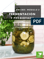 Modulo 3 Fermented