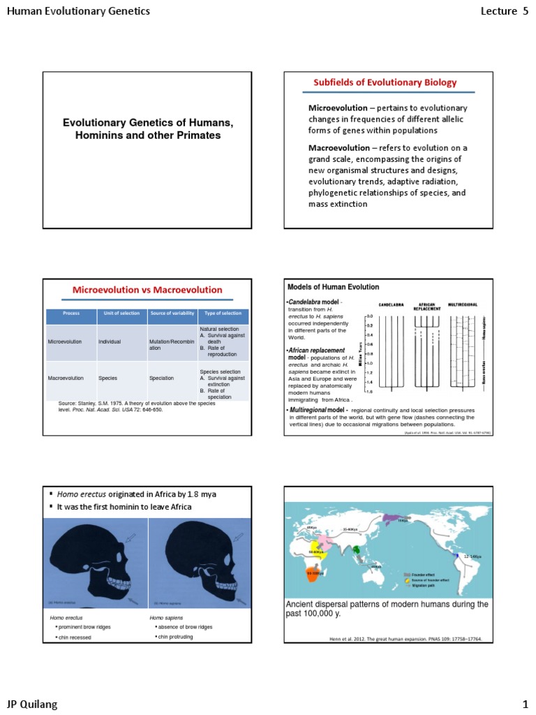 Subfields Of Evolutionary Biology Evolutionary Genetics Of Humans