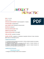 fractii_proiect_didactic