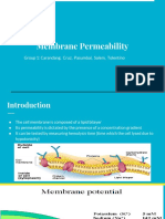 Bio 122 Group Presentation Cell Permeability