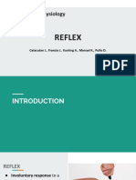 Reflex Updated