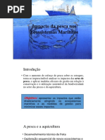 Impacto da pesca nos Ecossistemas Marinhos