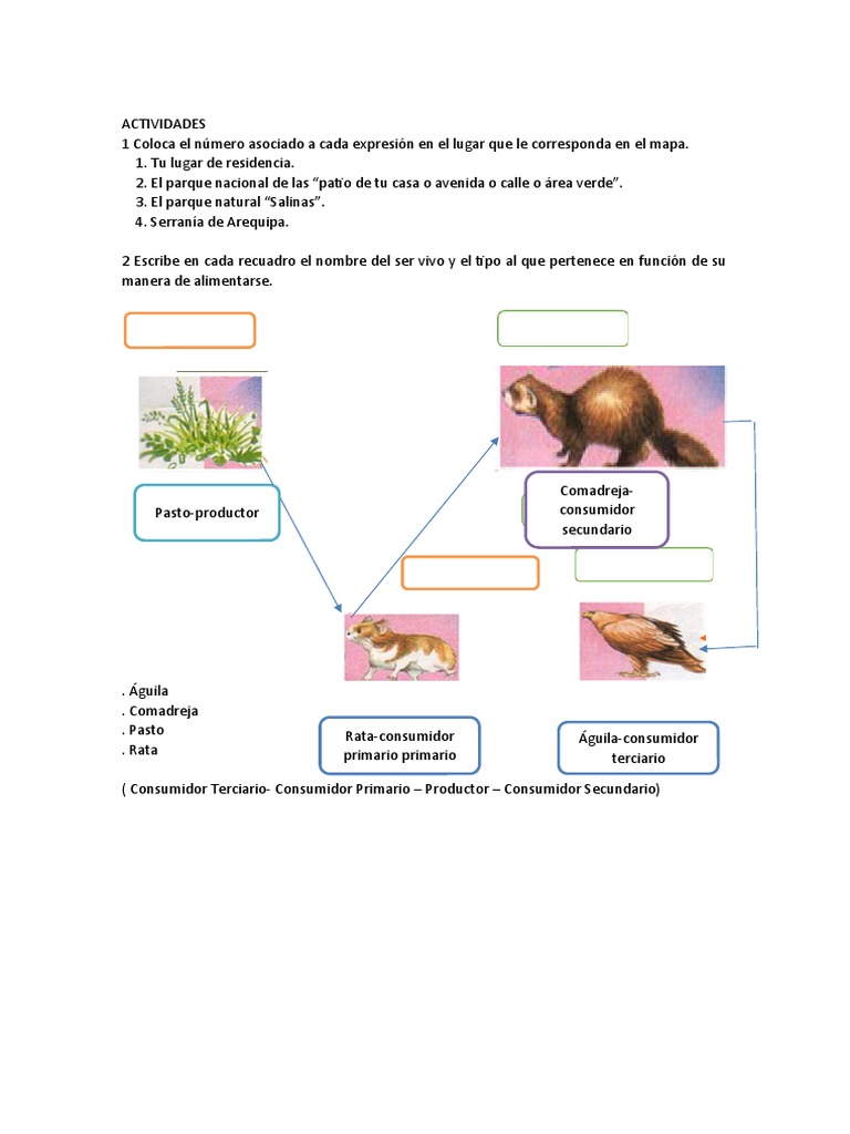 Biologia Tarea | PDF | Organismos | Naturaleza