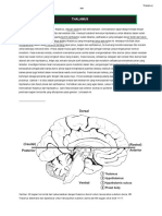 Thalamus en Id