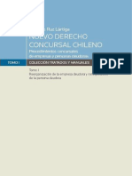 Nuevo Derecho Concursal Chileno, tomo I - Gonzalo Ruz Lartiga.pdf