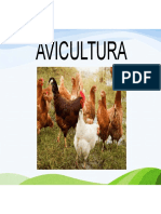 Avicultura