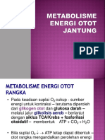 METABOLISME ENERGI OTOT JANTUNG