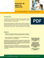 CABELLO-Prevencion_de_Riesgos_en_Peluquerias.pdf