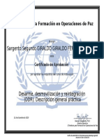desarme-desmovilizacion-y-reintegracion-ddr-v2-spanish-certificate.pdf