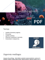 Biologija - Ląstelė 2020 04 03 PDF