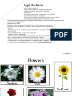 Flowers Matching Activity PDF