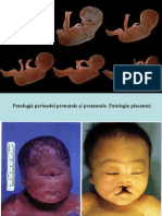 11__Patologia_perioadei_prenatale_și_postnatale__Patologia_placentei-11252