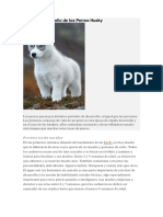 Desarrollo de Los Perros Husky