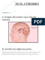 Cuidemos al cerebro