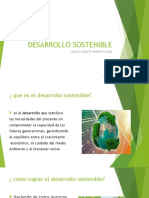 DESARROLLO SOSTENIBLE