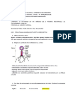 Guía de Trabajo Virología