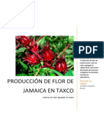 produccion de jamaica proyecto productivo .docx