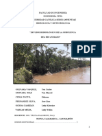 Informe Final - Hidrologia