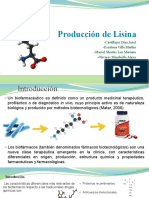 Producción de L-Lisina-HCl